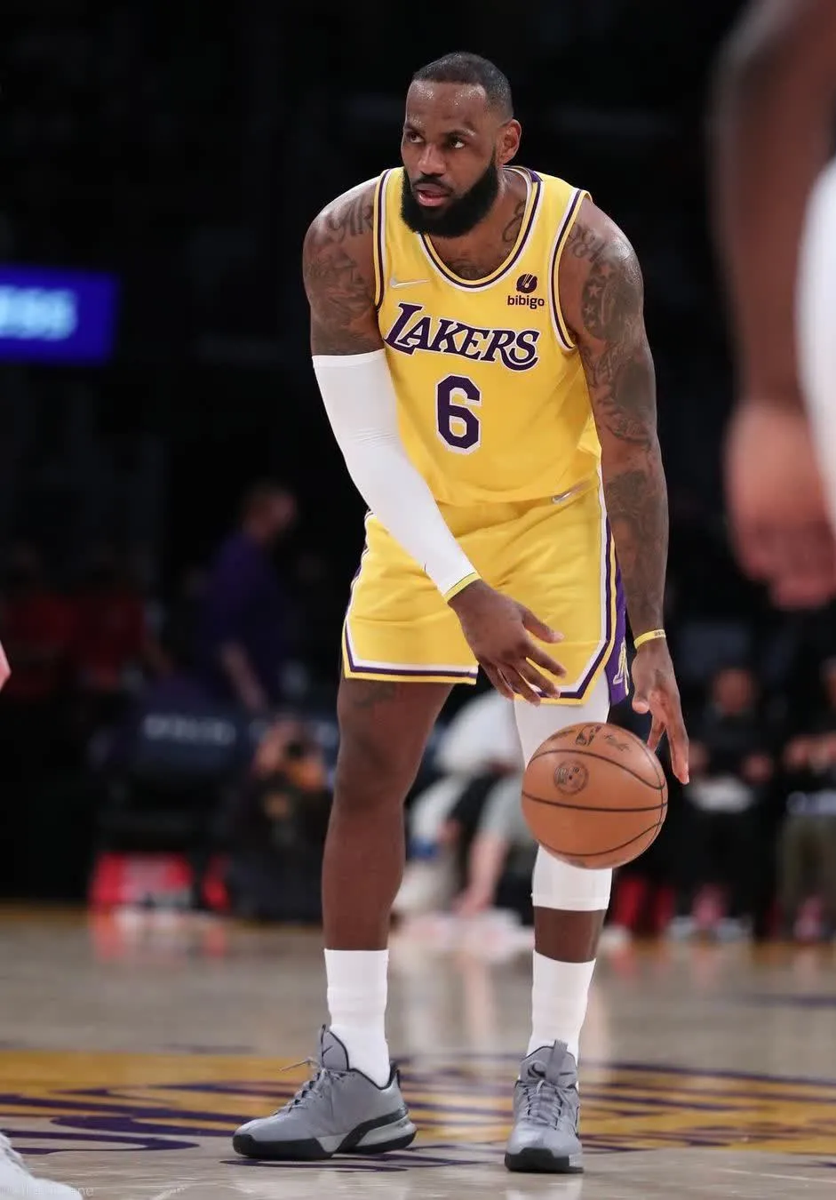 网页版登录入口-fnc和rng交手记录